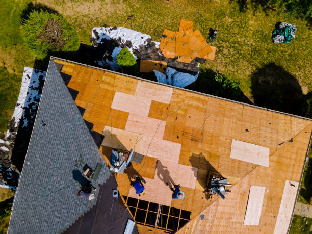 Best Roof Gutter Cleaning  in Holcom, KS