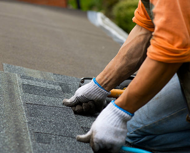 Best Roof Gutter Cleaning  in Holcom, KS